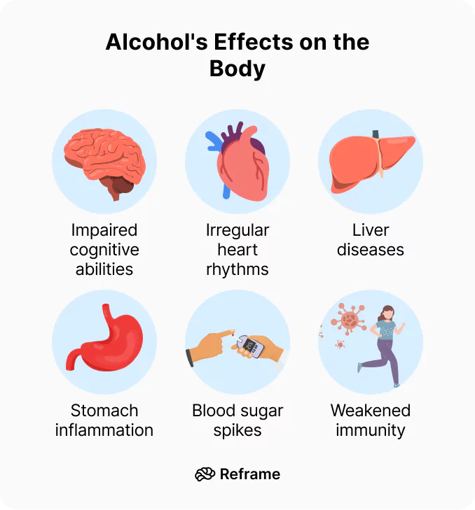 What Happens to Your Body When You Drink?